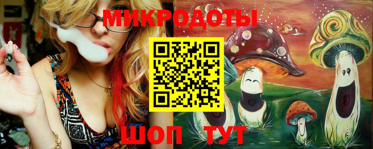 Псилоцибиновые грибы Cubensis Омск